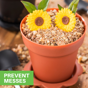 Prevent Messes