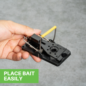 PLACE BAIT EASILY