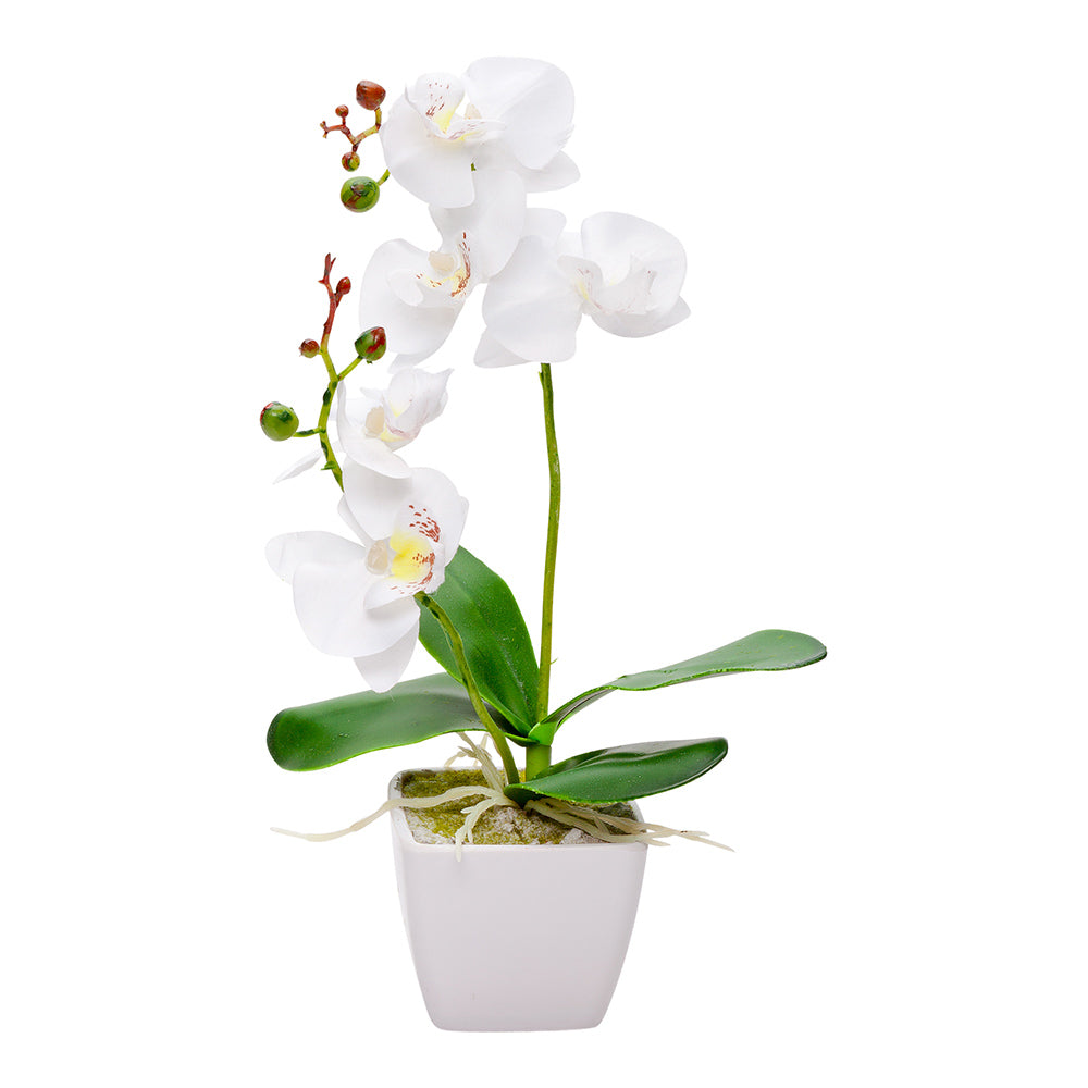 Fiore White Plastic Orchid in Plastic Pot - 5 Blooms - 4" x 4" x 13" - 12 count box