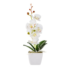 Fiore White Plastic Orchid in Plastic Pot - 5 Blooms - 4