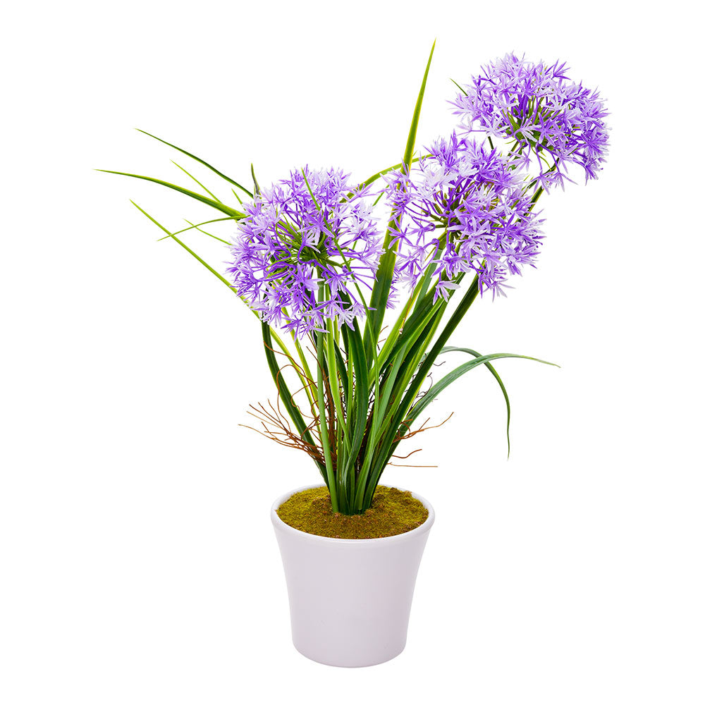 Fiore Round Violet Plastic Violet Allium in Plastic Pot - 4" x 4" x 14" - 12 count box