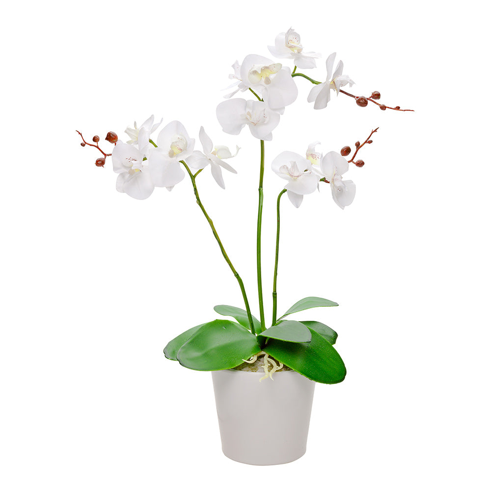 Fiore White Plastic Orchid in Plastic Pot - 12 Blooms - 5 1/2" x 5 1/2" x 19" - 6 count box