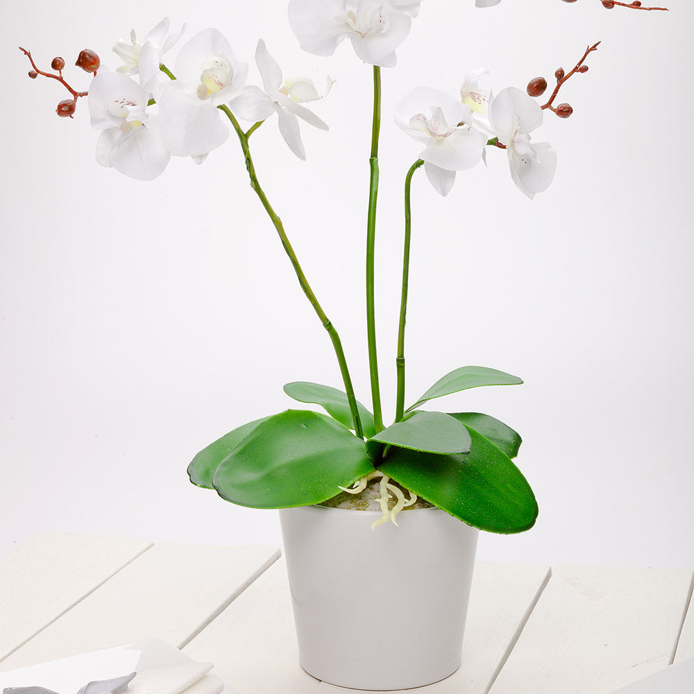 Fiore White Plastic Orchid in Plastic Pot - 12 Blooms - 5 1/2" x 5 1/2" x 19" - 6 count box