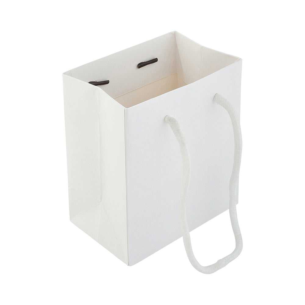 Rectangle White Paper Extra Small Shopping and Take Out Bag - Glossy, Rope Handles - 5" x 3" x 5 1/2" - 10 count box