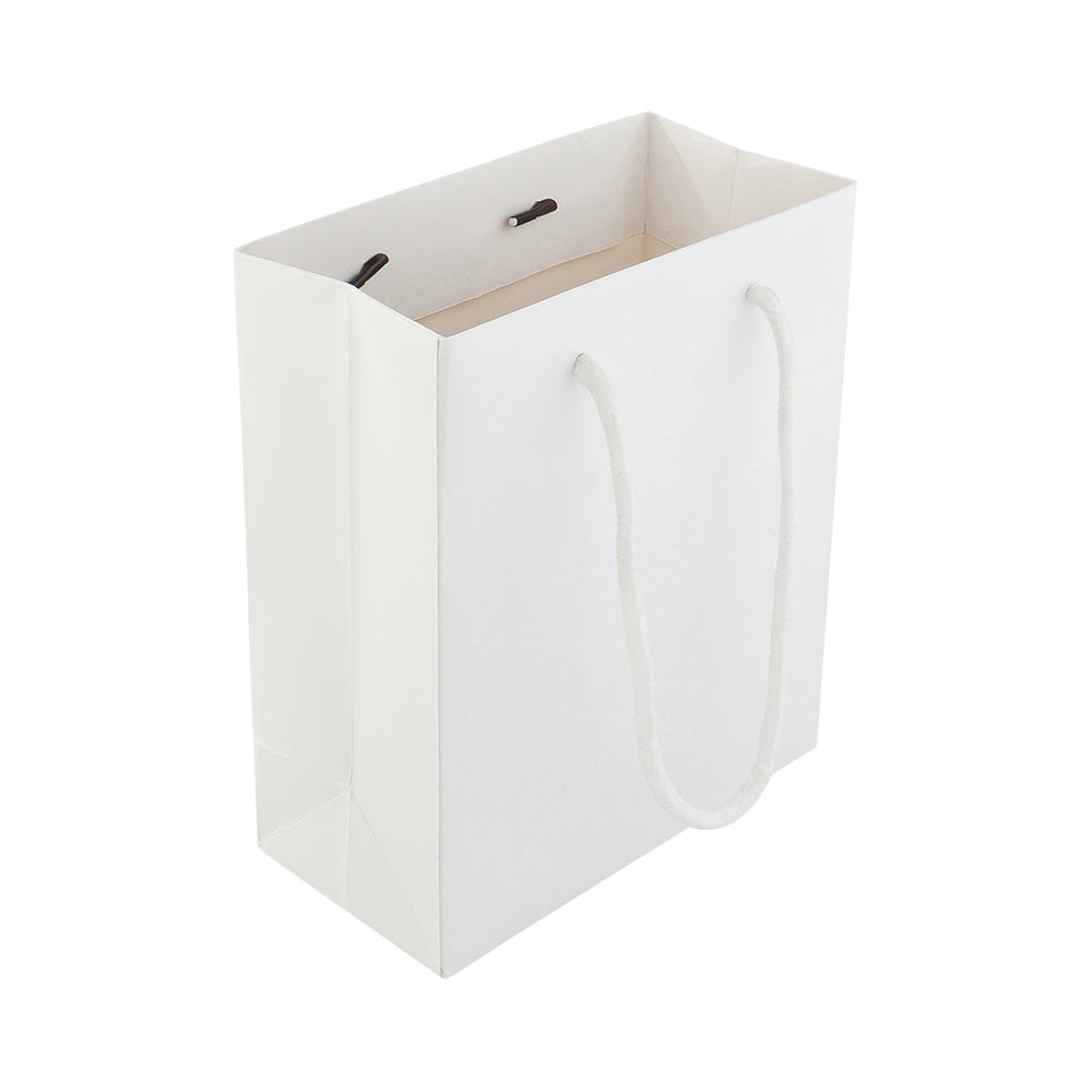 Rectangle White Paper Small Shopping and Take Out Bag - Glossy, Rope Handles - 6 1/2" x 3 1/4" x 7 1/2" - 10 count box