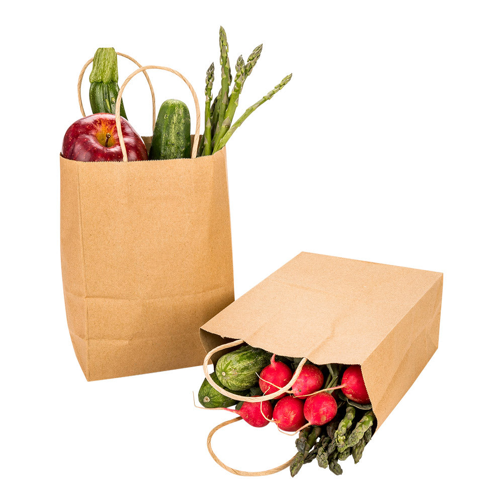 Saving Nature Kraft Paper Small Retail Bag - with Handles - 6" x 3 1/4" x 8 1/4" - 100 count box