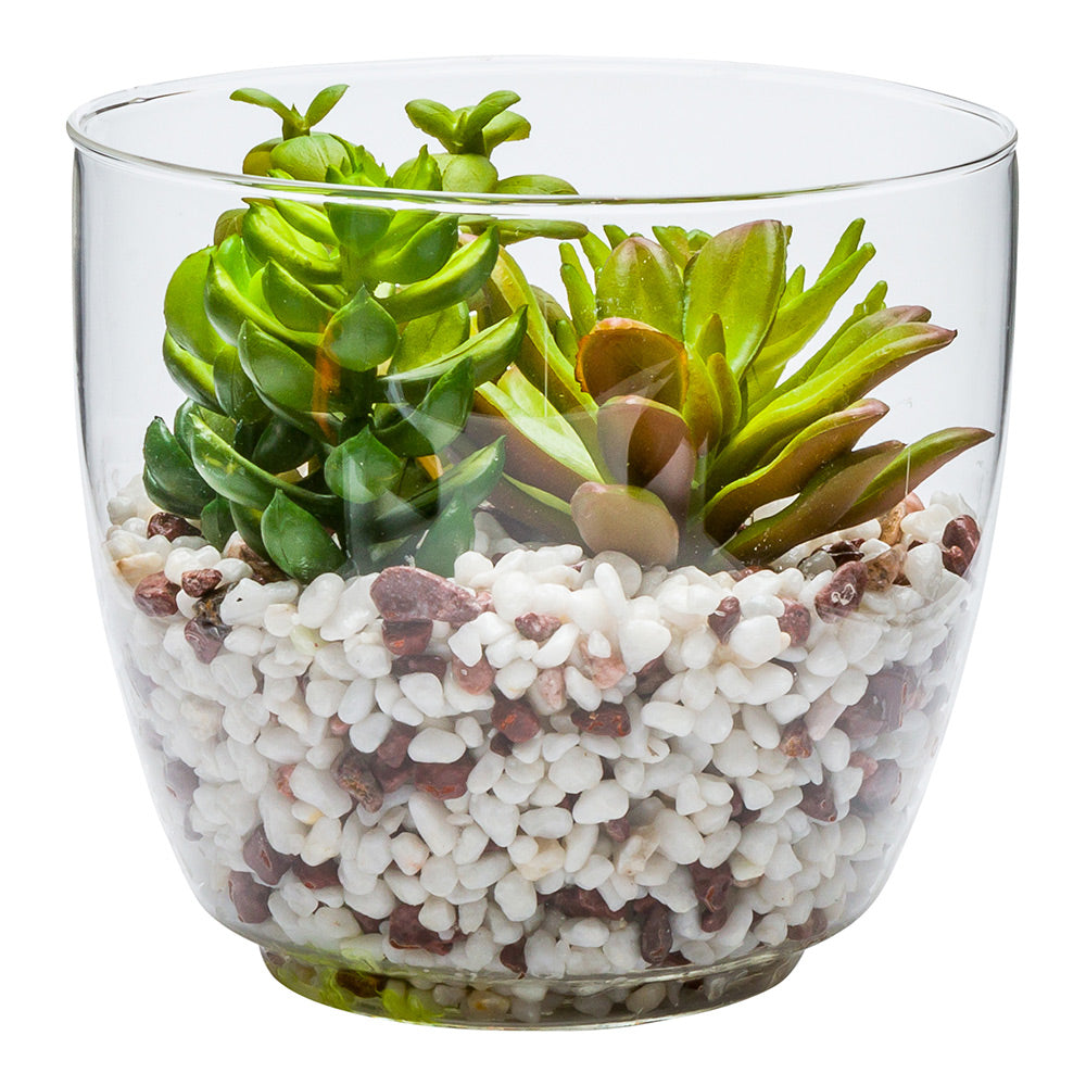 Plastic Table Art Faux Succulent Arrangement - Glass Terrarium Vase - 5 1/2" x 5 1/2" x 5" - 1 count box