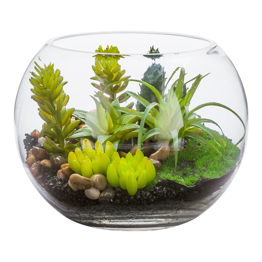 Plastic Table Art Faux Succulent Arrangement - Fishbowl Glass Terrarium - 7" x 7" x 5 1/2" - 1 count box