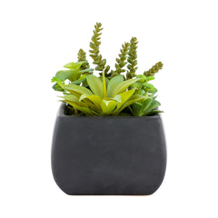 Plastic Table Art Faux Succulent Arrangement - Porcelain Planter, Black - 6