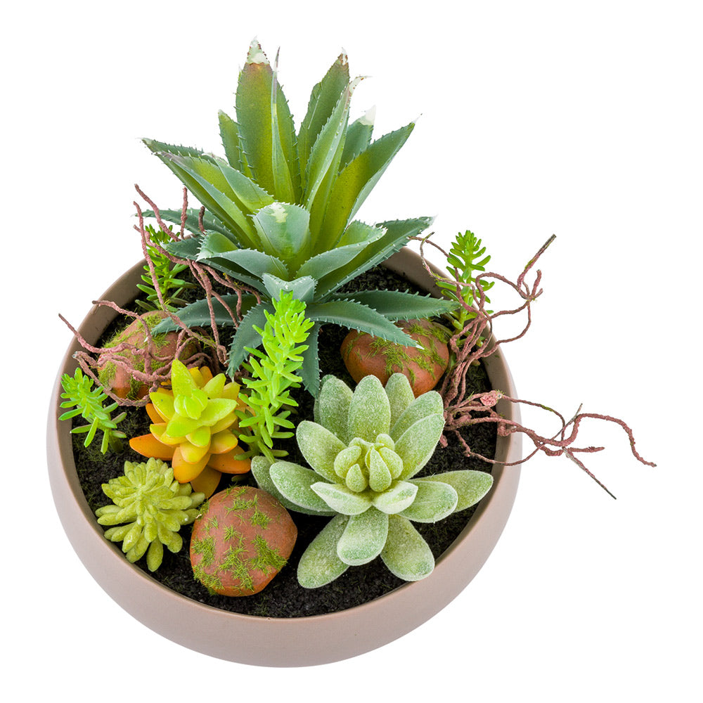 Plastic Table Art Faux Succulent Arrangement - Helio Porcelain Planter, Taupe - 6" x 6" x 5 1/4" - 1 count box