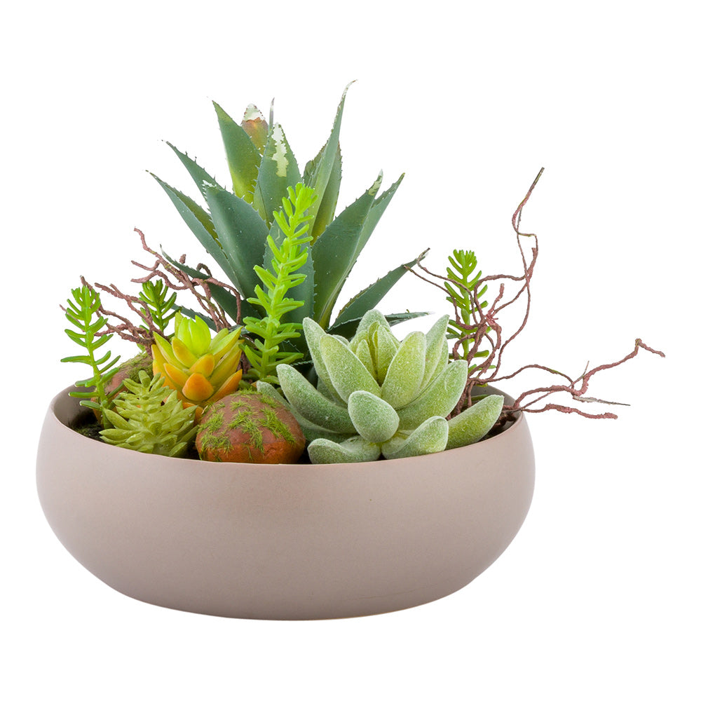 Plastic Table Art Faux Succulent Arrangement - Helio Porcelain Planter, Taupe - 6" x 6" x 5 1/4" - 1 count box