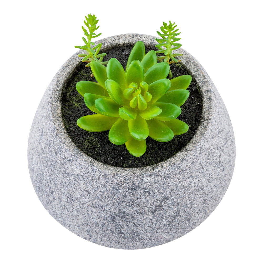 Plastic Table Art Faux Succulent Arrangement - Gravel Concrete Planter, Round - 6 1/2" x 6 1/2" x 7" - 1 count box