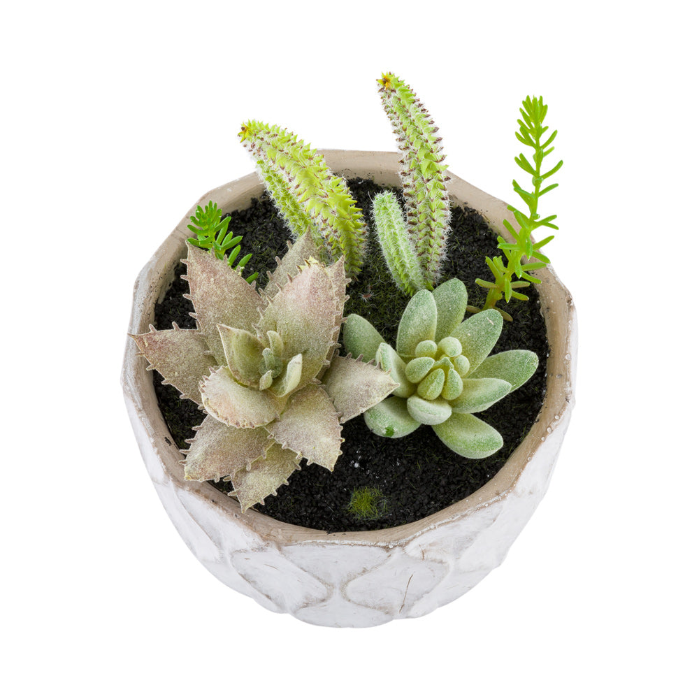 Plastic Table Art Faux Succulent Arrangement - Concrete Planter, Light Gray - 6" x 6" x 7 3/4" - 1 count box