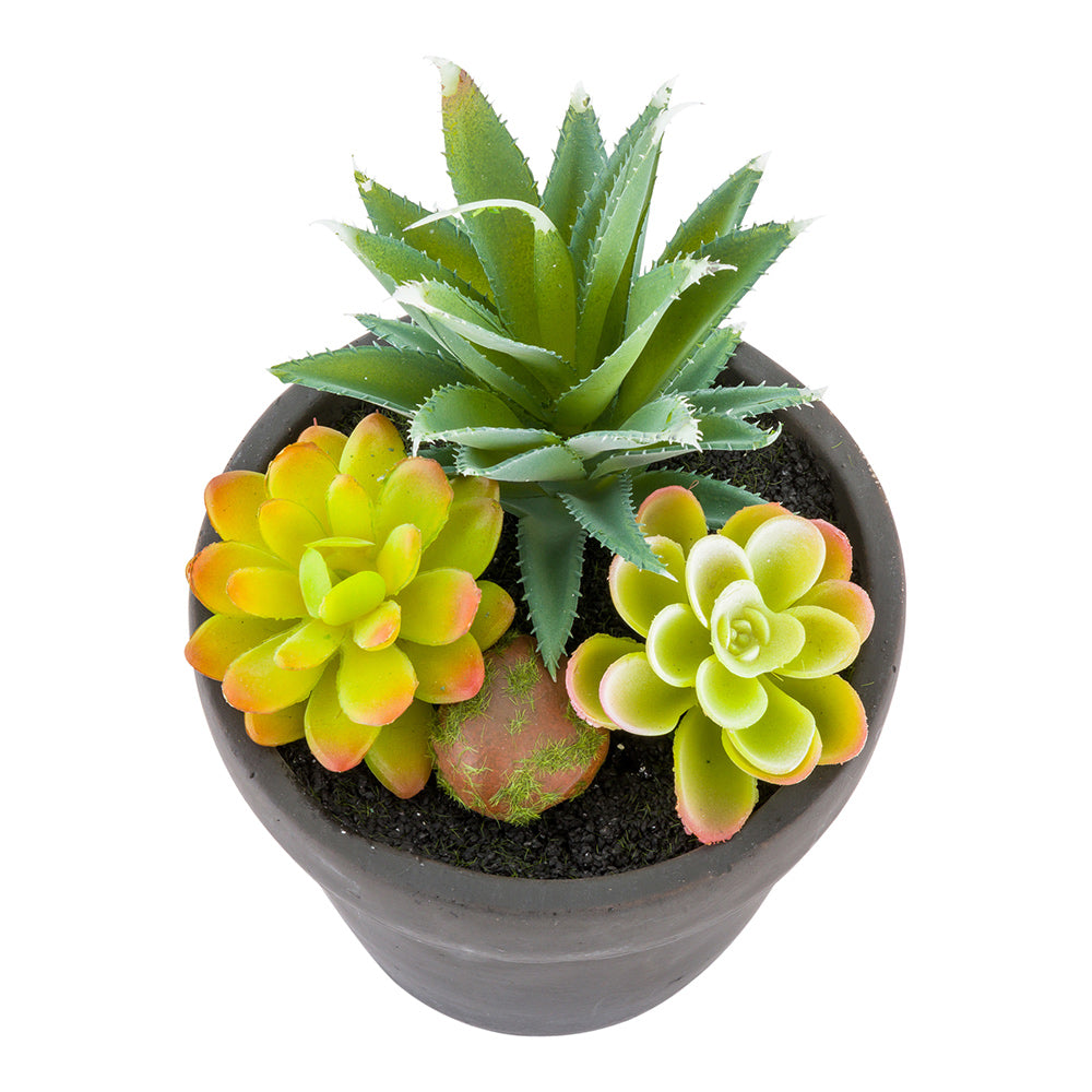 Plastic Table Art Faux Succulent Arrangement - Cement Flower Pot, Brushed Charcoal - 5 1/2" x 5 1/2" x 9" - 1 count box