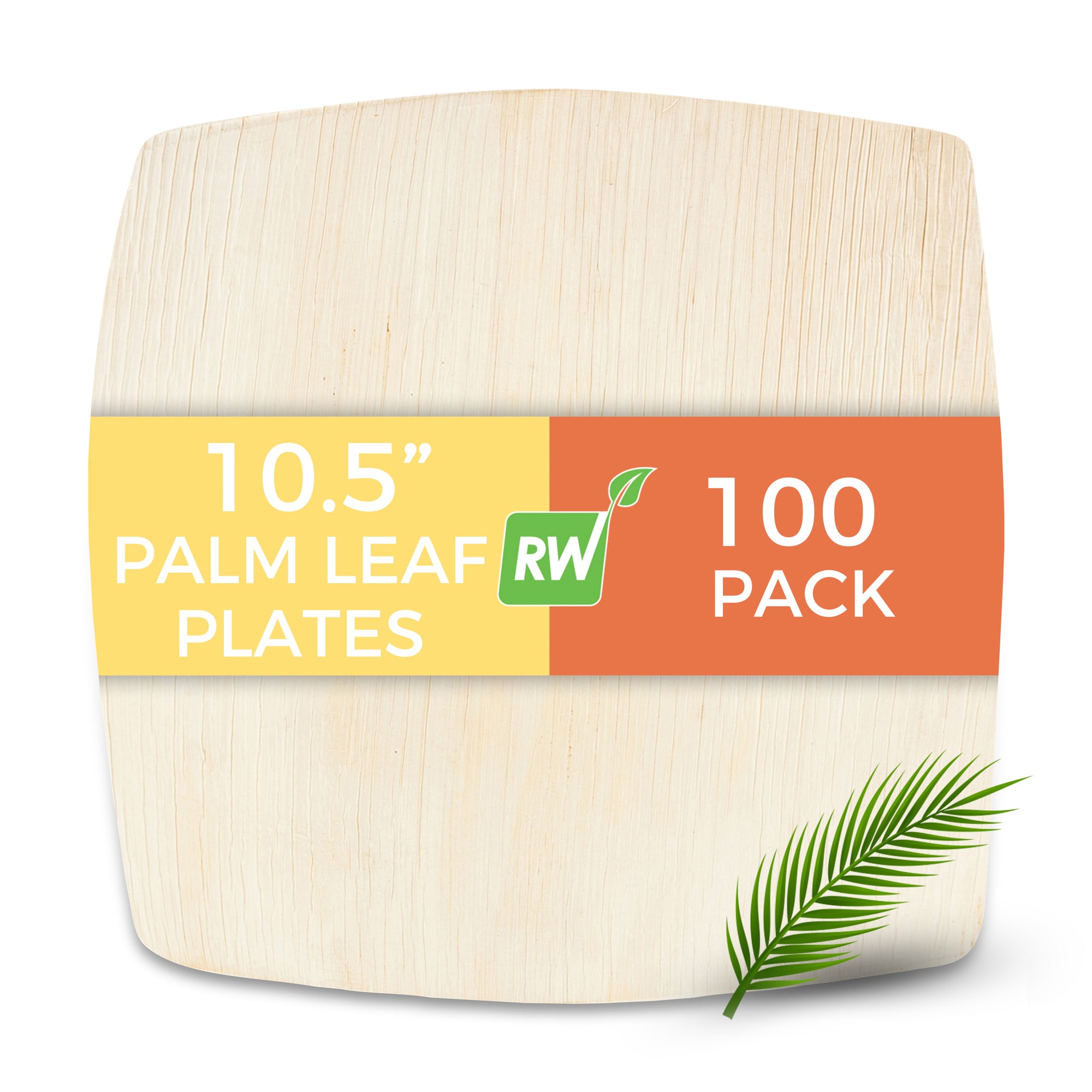 Midori Square Natural Palm Leaf Plate - Extra Large - 10 1/2" x 10 1/2" x 3/4" - 100 count box