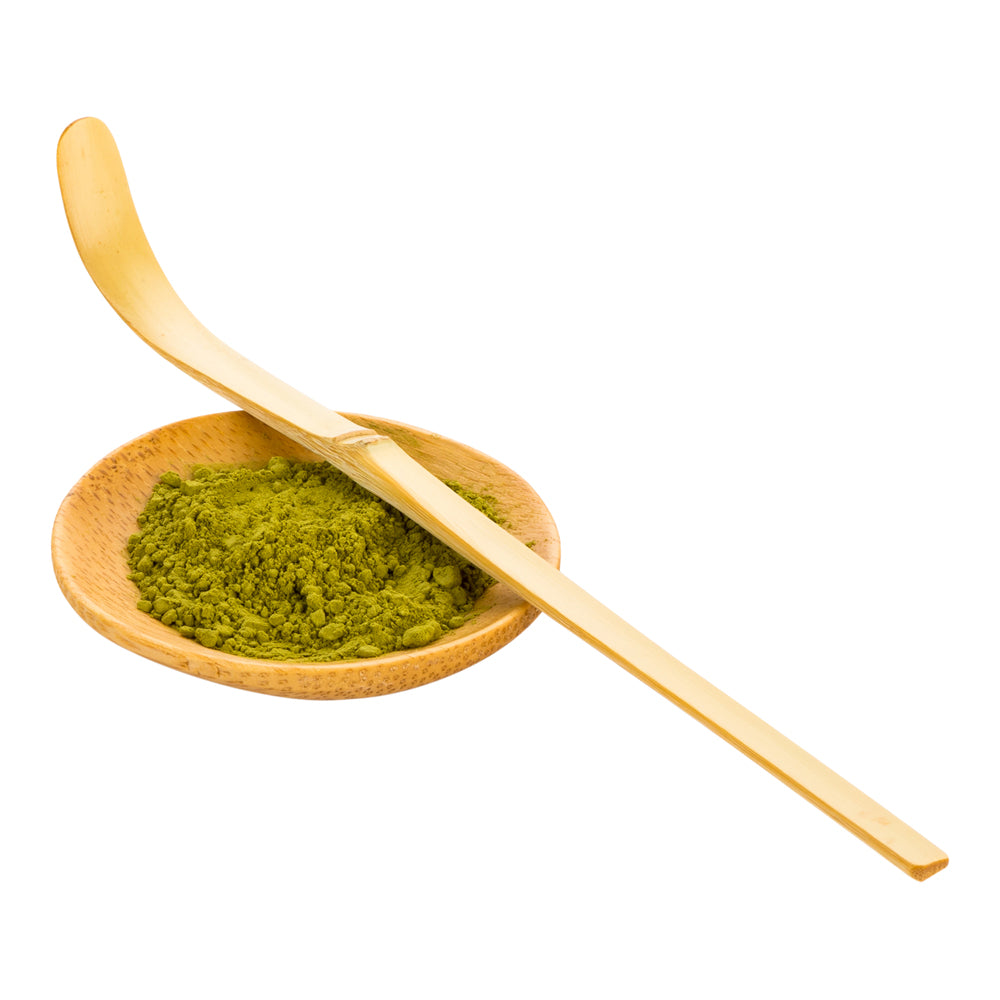 Dojo Natural Bamboo Matcha Scoop - Chashaku - 6 1/2" - 1 count box