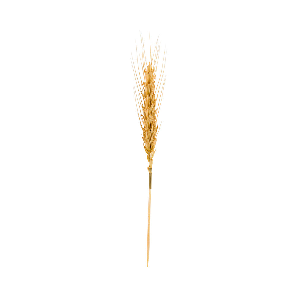 Natural Wheat Skewer - 6" - 500 count box