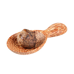 Coco Casa Natural Handmade Coconut Spoon - 5