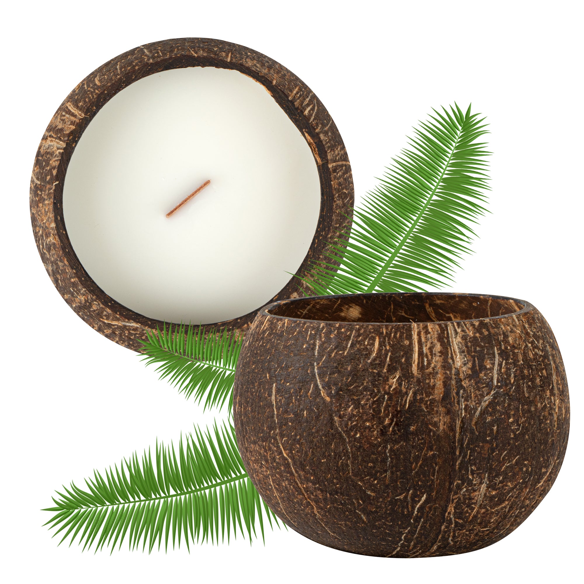 Coco Casa Handmade Coconut Shell Candle - Jasmine - 4" x 4" x 2 3/4" - 10 count box