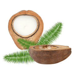 Coco Casa Handmade Coconut Shell Husk Candle - Jasmine - 6 1/2