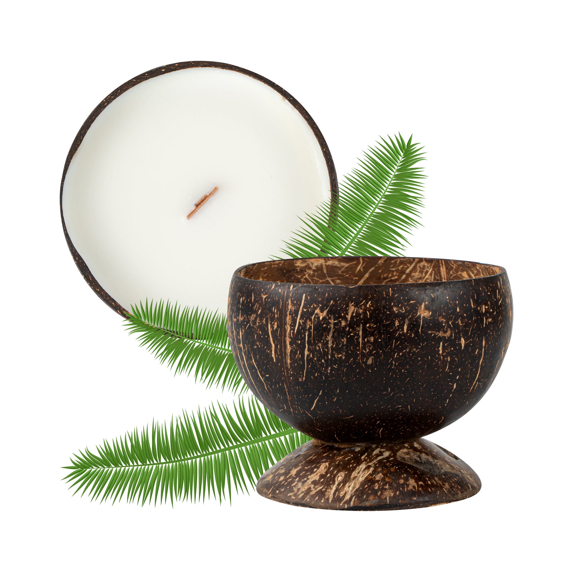 Coco Casa Handmade Coconut Candle Bowl - Sandalwood and Shea - 4" x 4" x 2 3/4" - 10 count box