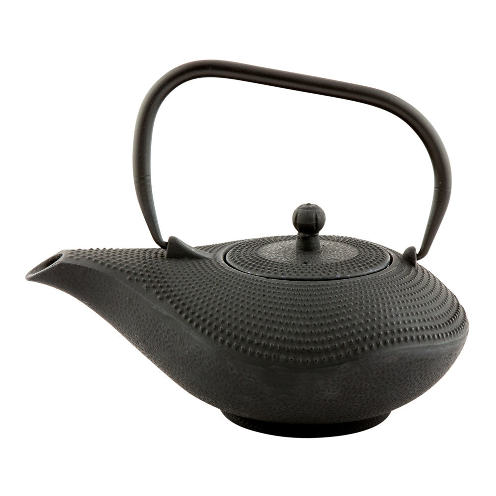 Tetsubin 34 oz Oval Black Cast Iron Teapot - 8 1/2" x 6 1/4" x 6 1/4" - 1 count box