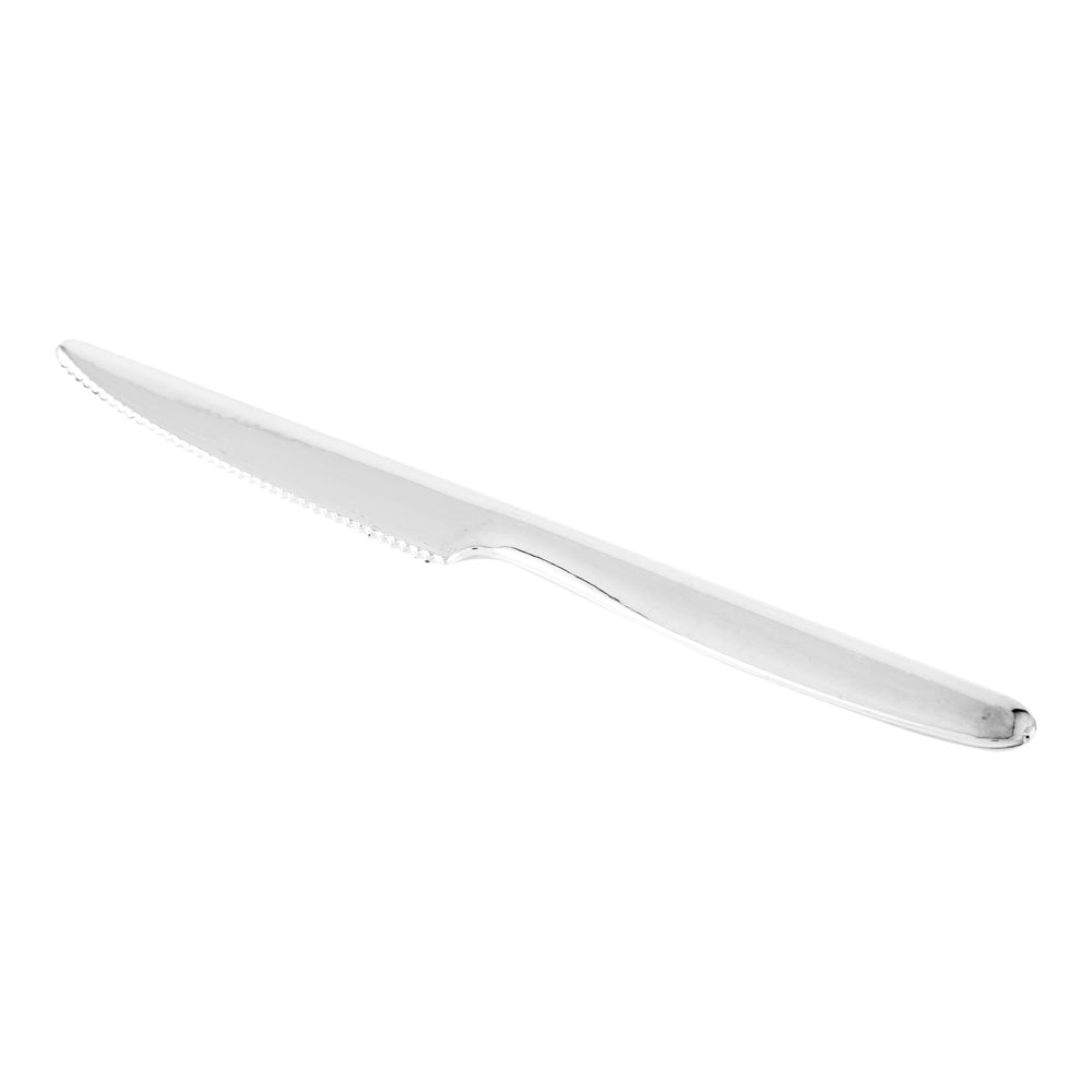 Silver Plastic Moderna Knife - 7 1/4" - 250 count box