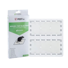 Pest Tek Plastic Mouse / Rat Glue Trap - Set of 2 - 8 1/4